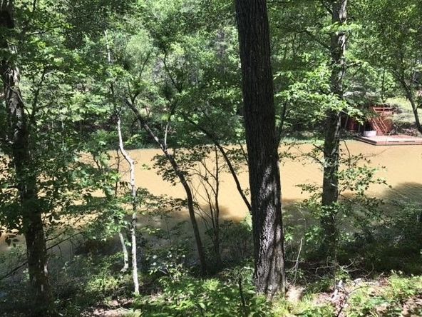 0 Mandy Drive, Wedowee, AL 36278